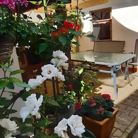 U Pani Malirky Apartamento *