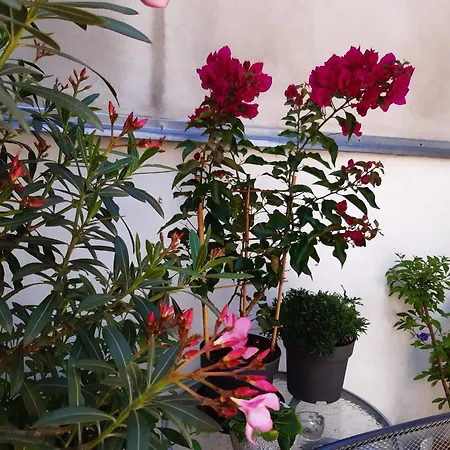 U Pani Malirky Apartment Valtice