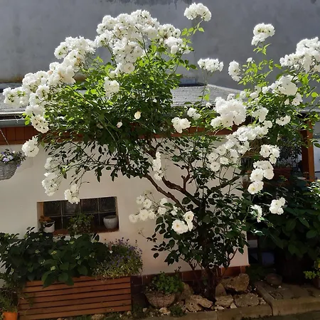 Appartement U Pani Malirky Valtice