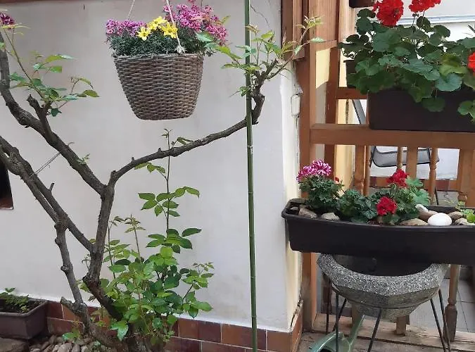 U Paní Malířky Apartamento Valtice