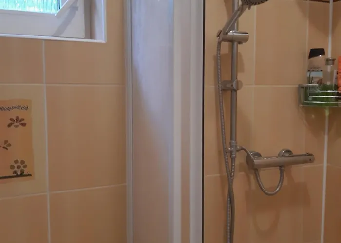 U Paní Malířky Apartamento *