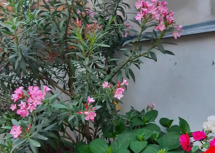 U Pani Malirky * Valtice