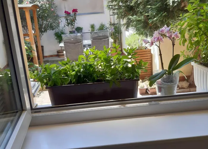 Apartment U Pani Malirky