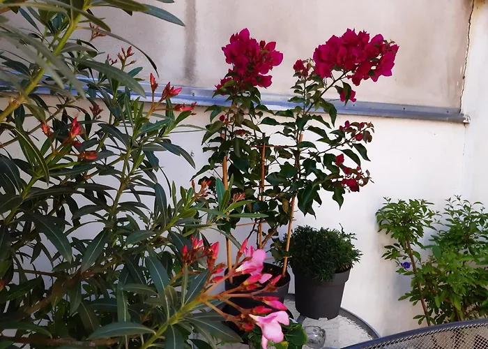 U Paní Malířky Apartamento Valtice