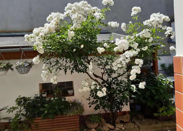 Apartment U Pani Malirky Valtice